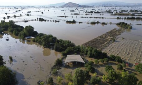 Κομισιόν: Νέες προτάσεις αποστέλλει στα κράτη μέλη για την ΚΑΠ με περισσότερες διευκολύνσεις και εξαιρέσεις από υποχρεώσεις (video)