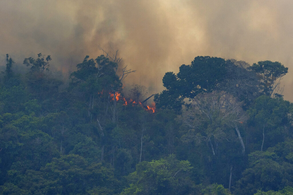 Κλιματική αλλαγή: Ρεκόρ πυρκαγιών στα τροπικά δάση της Βενεζουέλας – Δάνειο $750 εκ. της Παγκόσμιας Τράπεζας στην Κολομβία για το περιβάλλον