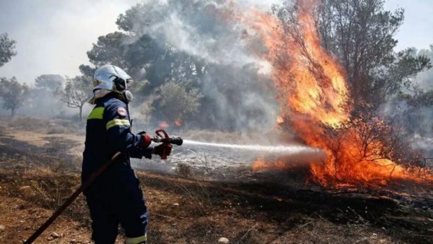 Κρήτη: «Τσουχτερά» πρόστιμα της Πυροσβεστικής για καύσεις καλλιεργειών
