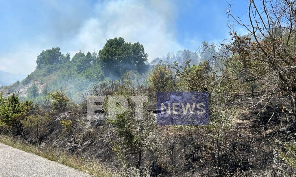 Φωτιές: Σε επιφυλακή η Πυροσβεστική για πυρκαγιά στα σύνορα με Αλβανία – Αντιμέτωπη με αναζωπυρώσεις η Πυροσβεστική στη Χίο