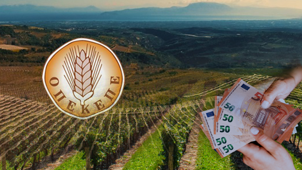 ΟΠΕΚΕΠΕ: Πληρωμές σε “καθαρά” ΑΦΜ – Ποιες επιδοτήσεις αφορούν