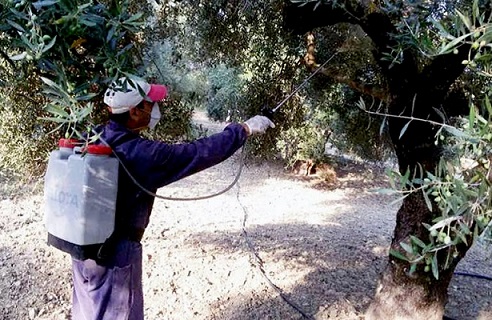 Υπογράφηκαν οι συμβάσεις για τα υλικά δακοκτονίας 2026–2028 και ξεκίνησαν ήδη οι παραδόσεις