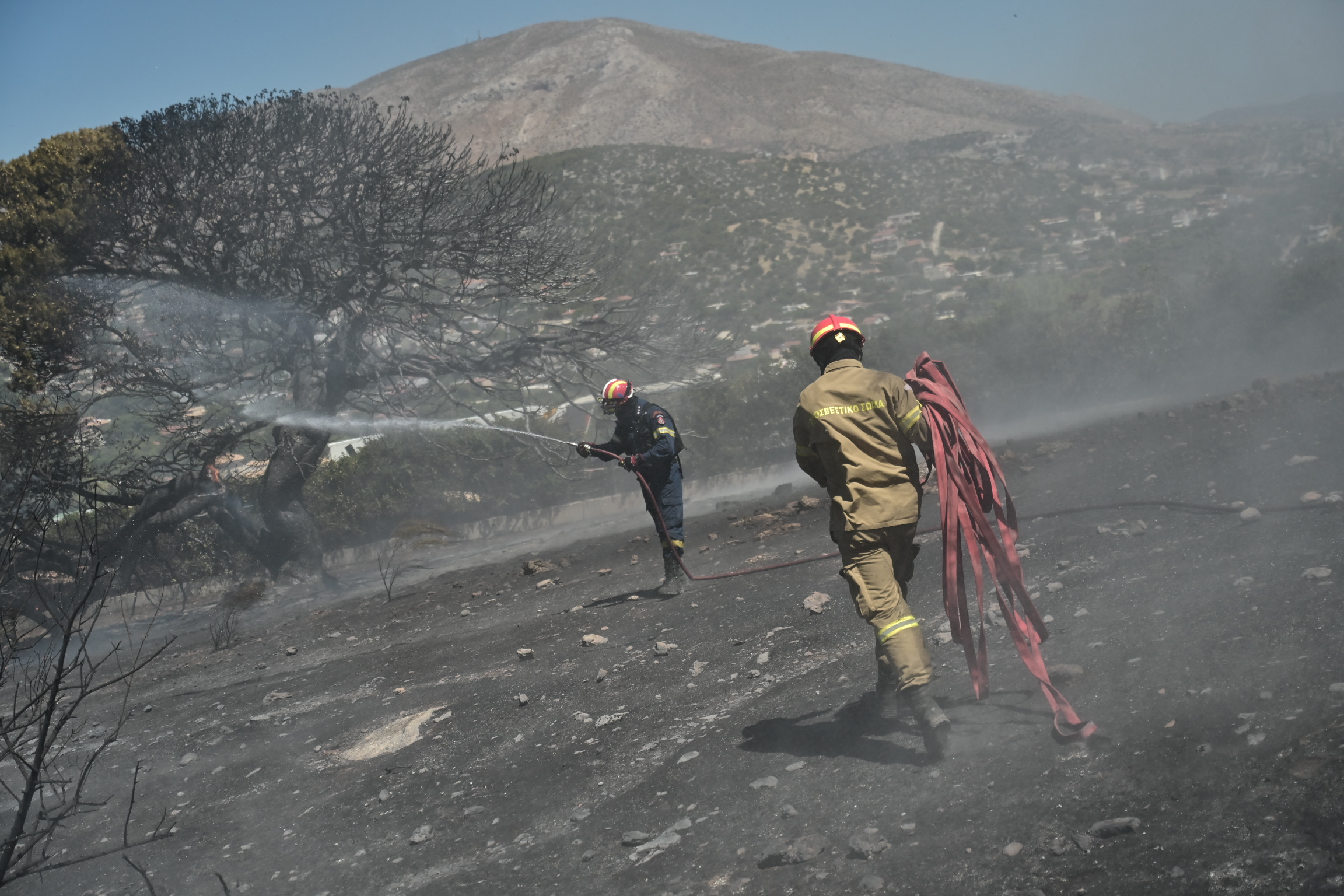 Φωτιά τώρα: Εικόνες καταστροφής, μέσα σε σπίτια οι φλόγες (photos)
