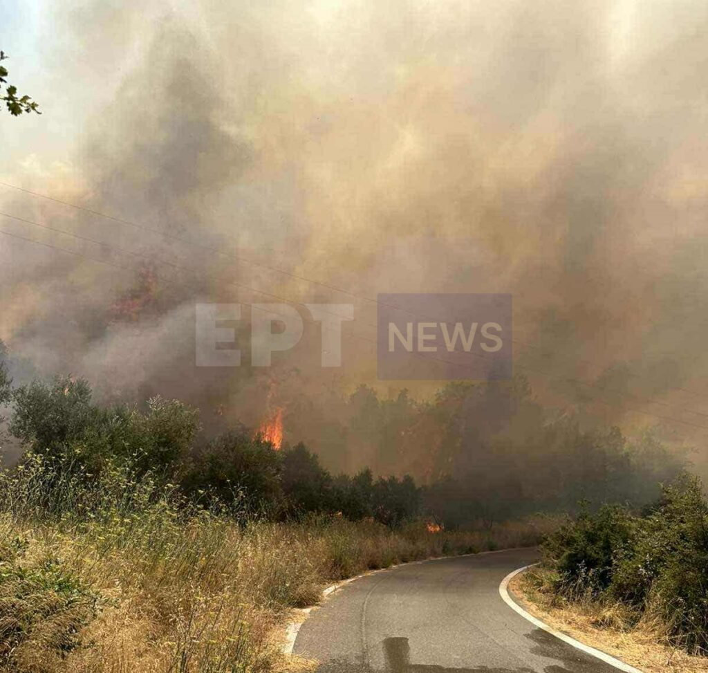 Φωτιά τώρα στη Μεσσηνία: Εκκενώθηκαν οικισμοί Πολυθέα και Κρυονέρι – Παραδόθηκαν στις φλόγες σπίτια