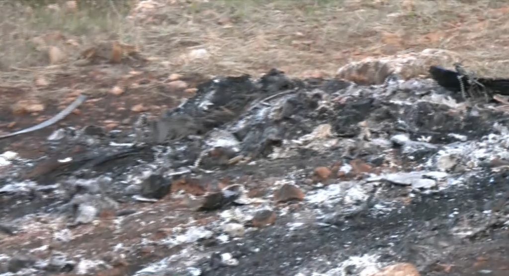 Απανθρακωμένο πτώμα με χειροπέδες στη Βοιωτία: «Καλοσχεδιασμένη ενέργεια, οι δράστες ίσως γνωρίζουν πολύ καλά την περιοχή» λέει η Κ. Δημογλίδου