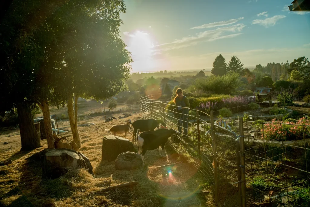 Εκατομμύρια νέοι χρησιμοποιούν αυτό το hack για να ταξιδέψουν σε όλο τον κόσμο δωρεάν – Τι ρισκάρουν