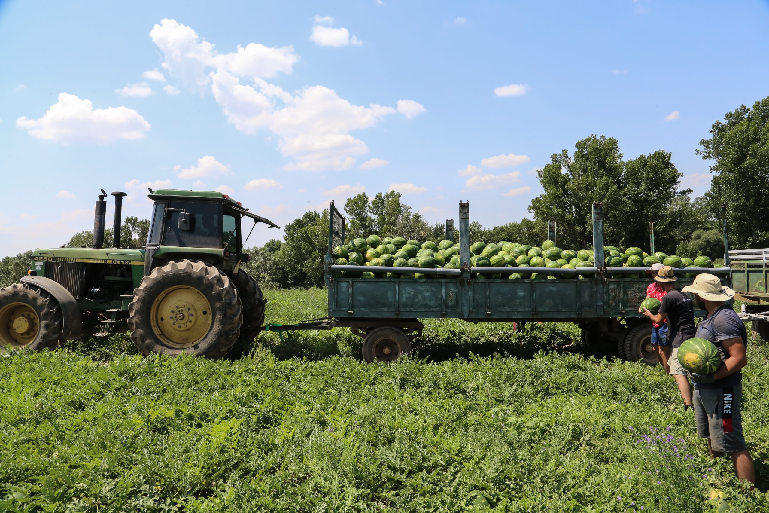 Νέο σχήμα Γεωγραφικών Ενδείξεων της ΕΕ: Ευκαιρίες για Έλληνες παραγωγούς βιομηχανικών και εμπορικών προϊόντων