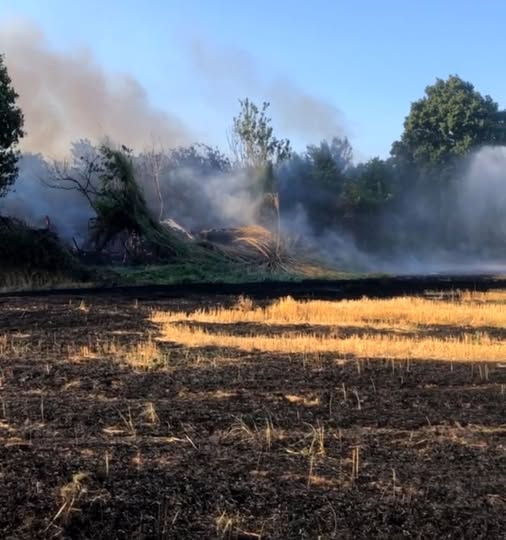 Προδιαγεγραμμένη καύση: Πώς θα εφαρμοστεί το νέο μοντέλο πρόληψης πυρκαγιών και διαχείρισης της καύσιμης ύλης