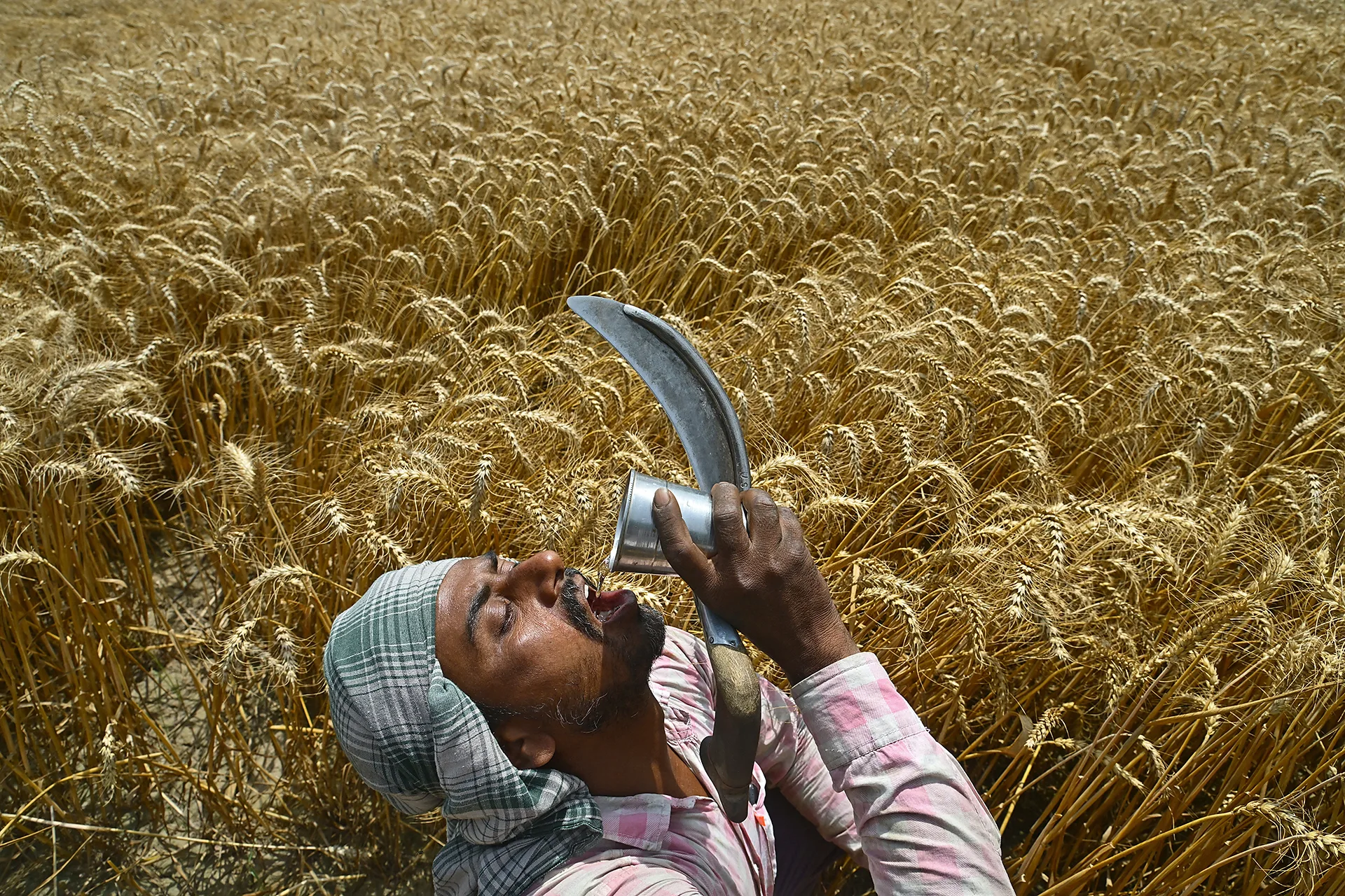 Από περιστέρια στον αέρα μέχρι συγκλονιστικές σκηνές από όλο τον κόσμο: Οι 12 πιο εντυπωσιακές φωτογραφίες του 2025