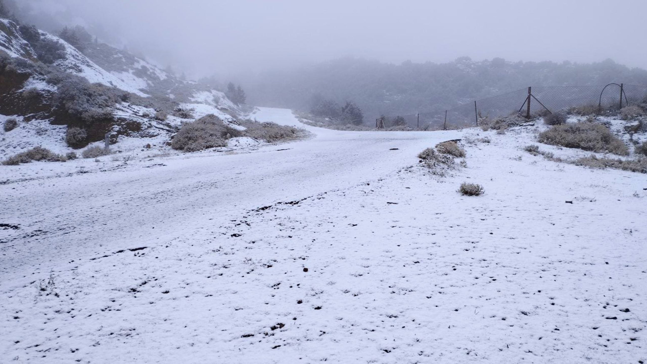 Ο εκπαιδευτής της ελληνικής ομάδας διάσωσης στο ΕΡΤnews για την τραγωδία στα Βαρδούσια με τους τέσσερις νεκρούς ορειβάτες