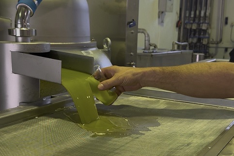 Σύσκεψη στην Περιφέρεια Κρήτης για την αντιμετώπιση των προβλημάτων στην ελαιοκαλλιέργεια και τη διεκδίκηση αποζημιώσεων  