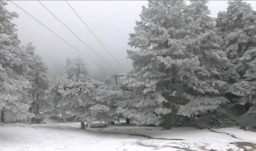 Η Πάρνηθα στα «λευκά» – Ανοιχτοί προς το παρόν οι δρόμοι