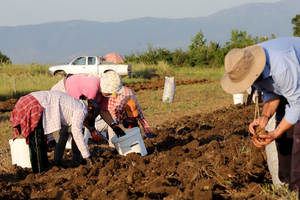 Κρίσιμες επαφές του Μαργαρίτη Σχοινά στις Βρυξέλλες για τον πρωτογενή τομέα  