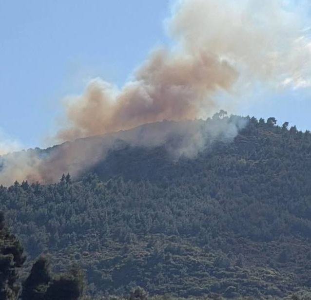 Συνελήφθη 51χρονος για τη φωτιά στην Άμπελο Αχαΐας