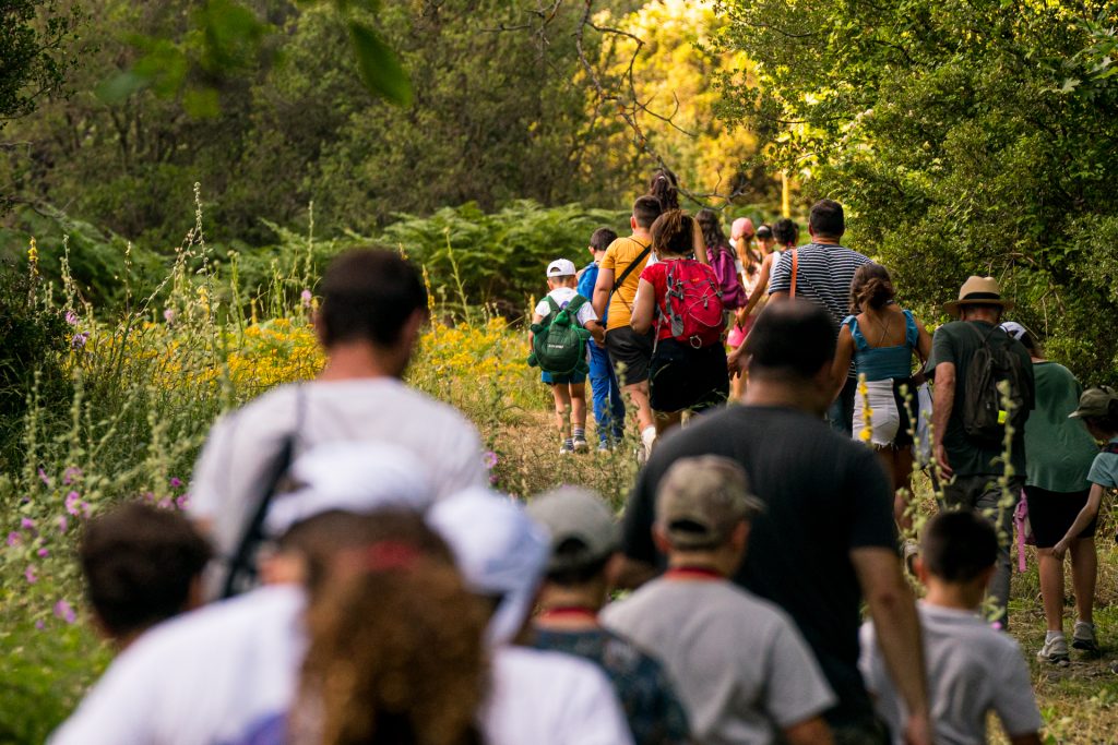 Βαμβακού Λακωνίας: Ένας ορεινός προορισμός εμπειριών στις πλαγιές του Πάρνωνα