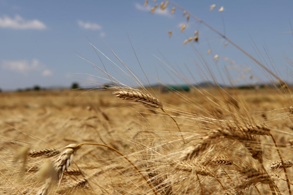 Οι τιμές των τροφίμων παγκοσμίως αυξάνονται για τρίτο συνεχόμενο μήνα