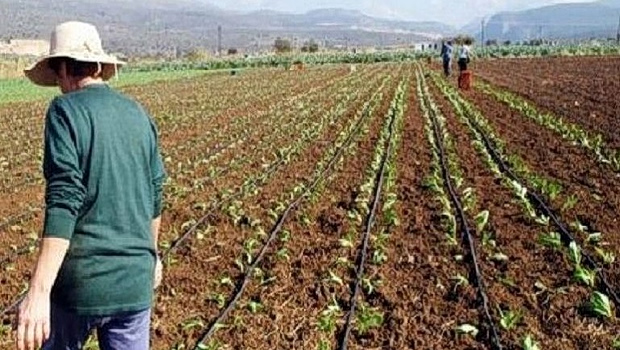 Έτοιμη η πλατφόρμα του ΟΣΔΕ 2026 και απολύτως λειτουργική προκειμένου να ξεκινήσουν άμεσα αιτήσεις