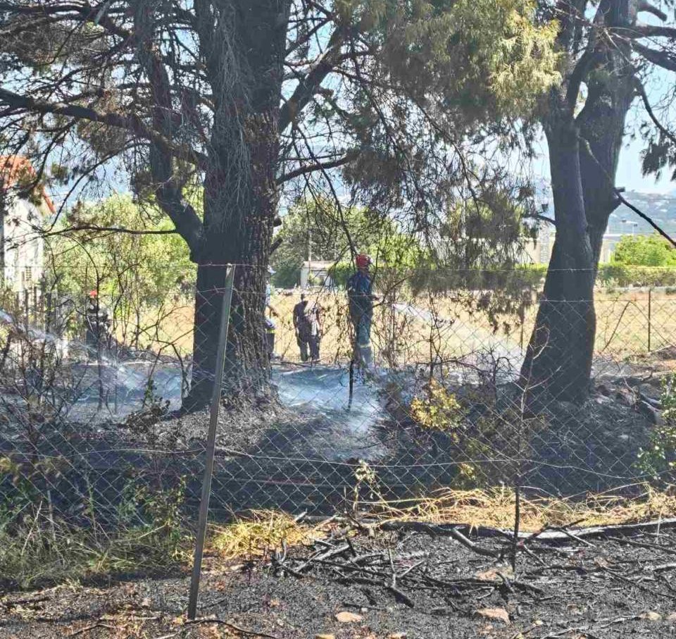 Σύλληψη 89χρονου για πυρκαγιά από αμέλεια στο Κρυονέρι – Πρόστιμο 2.578 ευρώ από την Πυροσβεστική