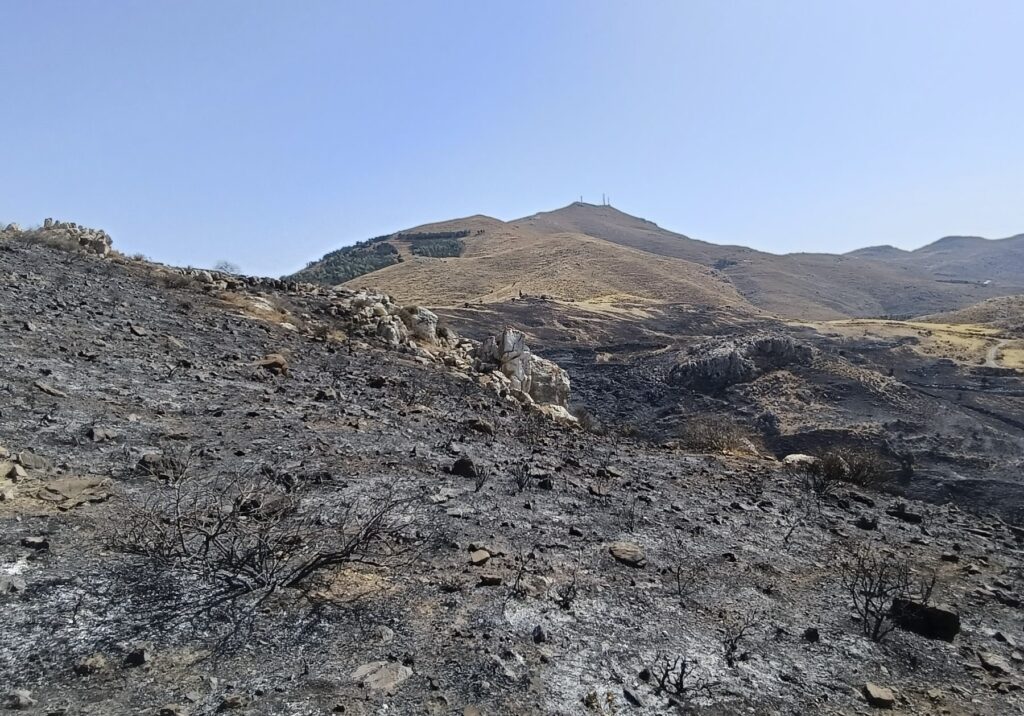 Τέθηκε υπό έλεγχο η μεγάλη πυρκαγιά στο Δήμο Φαιστού