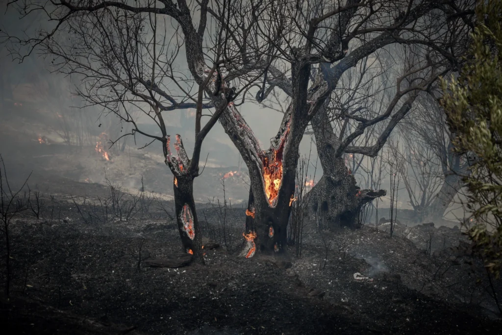 Φωτιά Ρεθύμνου: Κακουργηματική δίωξη στον υπεύθυνο της ΔΕΔΔΗΕ