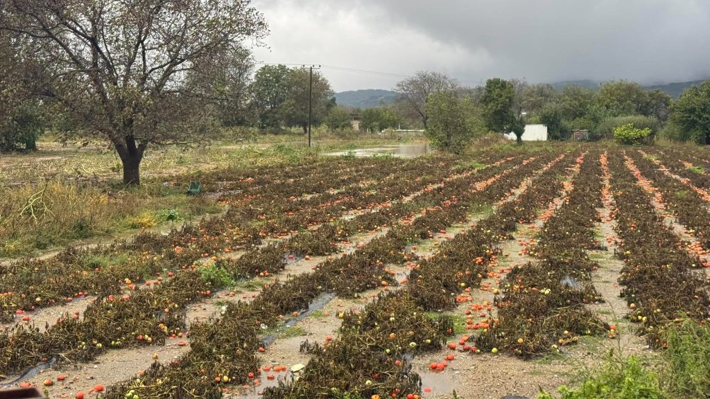 Ανδρουλάκης από Οροπέδιο Λασιθίου: «Να δοθούν άμεσα λύσεις» – Μοντέλο τύπου Daniel ζητούν για τις αποζημιώσεις οι πληγέντες